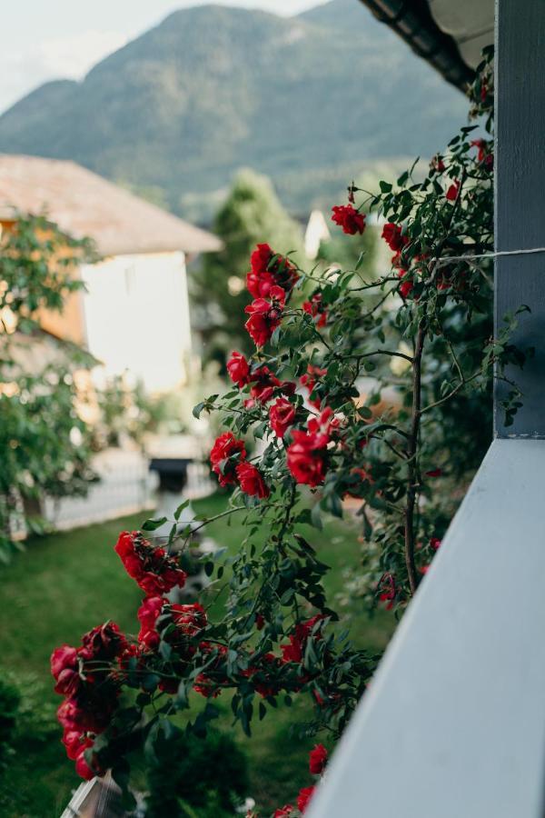 A Cozy Away From Appartement